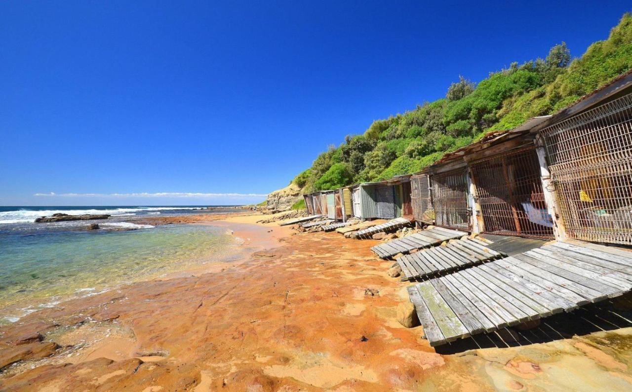 Sandon Point Coastal Abode Bulli Esterno foto